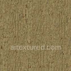 seamless Bark Wood Natural Texture Seamless Rough Grainy Earthy Organic Pattern texture 8k free download PBR