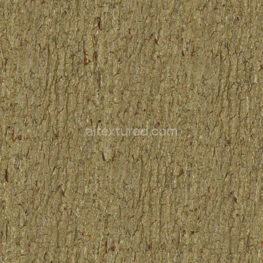 Bark Wood Natural Texture Seamless Rough Grainy Earthy Organic Pattern