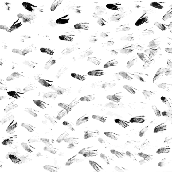 White & Black Texture of Black and White Feather Pattern White & Black texture preview