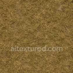 seamless Ancient Grass Seamless Texture texture 8k free download PBR