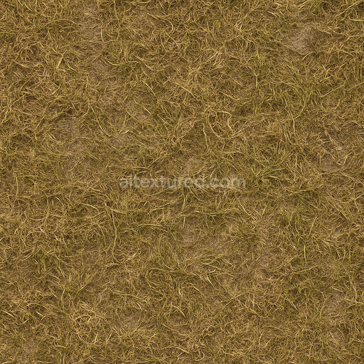 Ancient Grass Seamless Texture