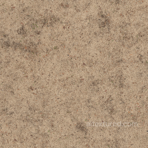 Withered Grass - Old Weathered Grass Discolored Driedup Dry seamless Grass PBR texture