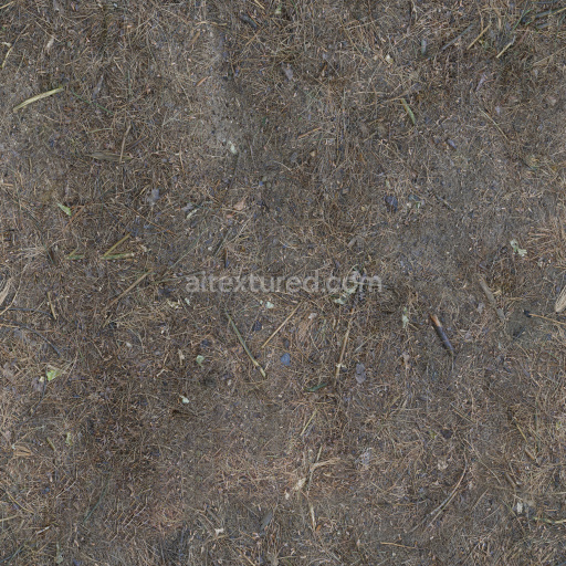 Ground Earth Natural Soil Dirt Organic Outdoor Rough Textured Forest