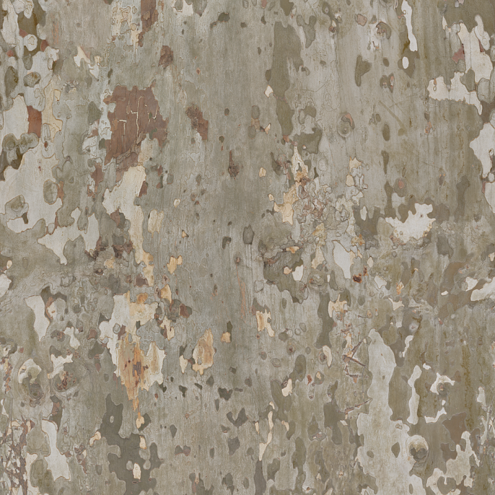 Dry Tree Bark - Nature Forest Wooden Tree Bark Wood seamless PBR texture preview