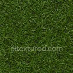 seamless Wet Turf Texture texture 8k free download PBR