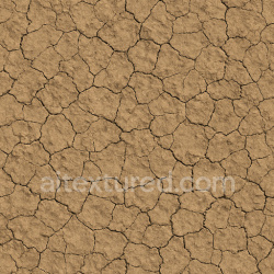 seamless Dry Field Texture texture 1024x1024 free download PBR