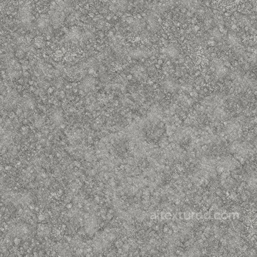 Rough Concrete Texture with Cracks and Pits | Free PBR seamless Concrete PBR texture