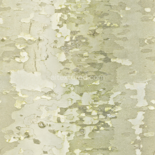 Bark Wood Texture Natural Seamless Rough Organic Brown Grain Pattern