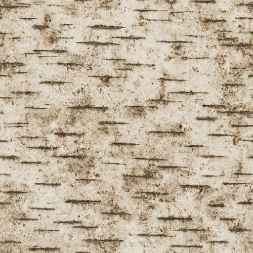 Dirty Birch Seamless Texture seamless Wood PBR texture
