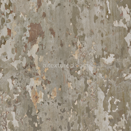 Dry Tree Bark — Nature Forest Wooden Tree Bark Wood — PBR seamless 3D texture