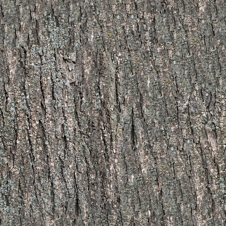 Bark 12 by Share Textures seamless PBR texture preview