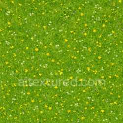 seamless Bright Meadow Texture texture 8k free download PBR