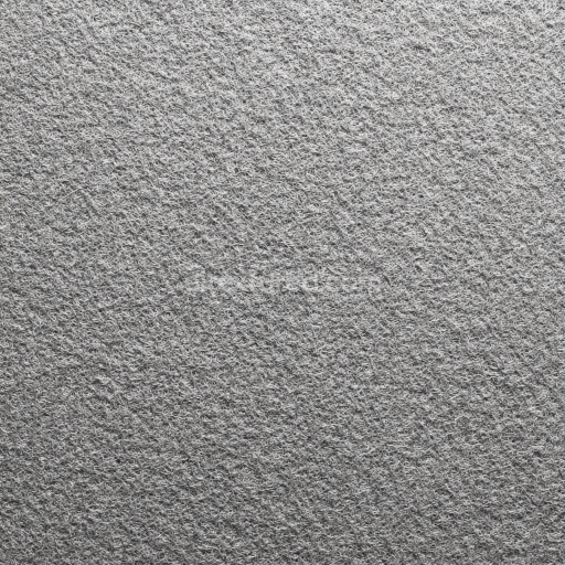 Seamless 3D Felt PBR Texture Featuring Dense Gray Wool Fibers with Matte Finish