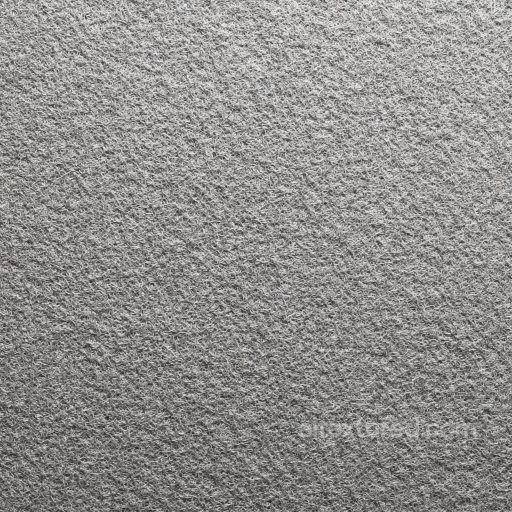 Felt PBR Texture Featuring Dense Gray Wool Fibers with Matte Finish seamless Felt PBR texture