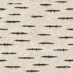 seamless Patterned Birch Texture Seamless texture 8k free download PBR