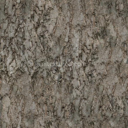 Seamless Bark 16 by Share Textures – PBR 3D Texture (8K ready)