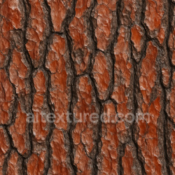 seamless Shiny Pine Bark Texture Seamless 1024X1024 texture 1024x1024 free download PBR