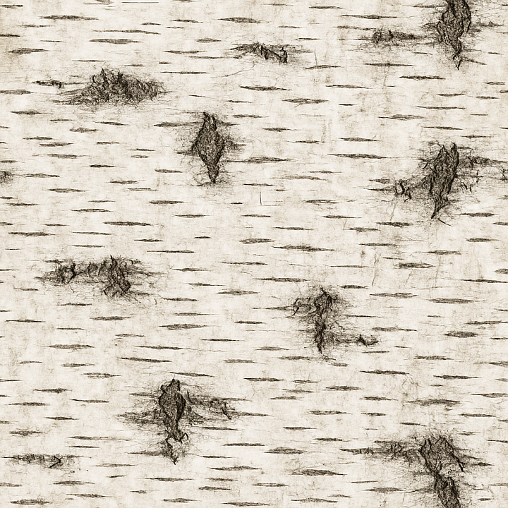 Detailed Birch Wood seamless PBR texture preview
