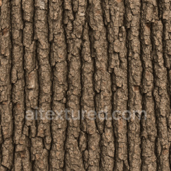 seamless Rough Oak Bark Texture Seamless 1024X1024 texture 1024x1024 free download PBR