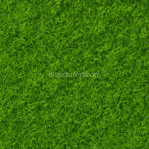 Lush Field Texture