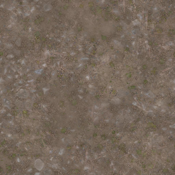 Sandy Trail with Rocks, Pebbles and Plants seamless PBR texture preview