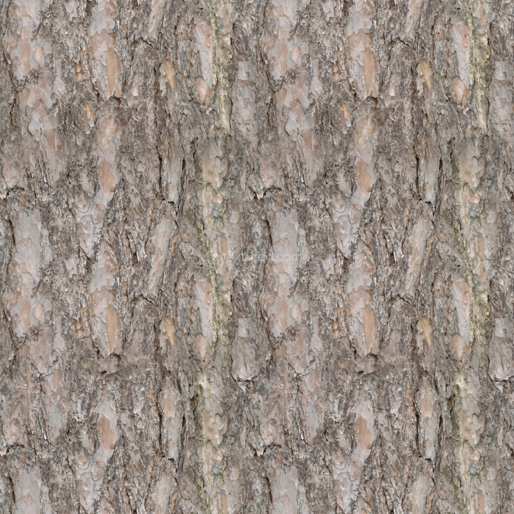 Seamless PBR bark texture with realistic details