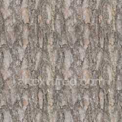 seamless Bark Wood Nature Textured Rough Organic Seamless Realistic Earthy Patterned texture 8k free download PBR
