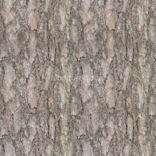 Bark Wood Nature Textured Rough Organic Seamless Realistic Earthy Patterned