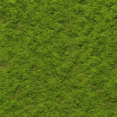 Comprehensive Guide to Moss Textures for Photorealistic PBR Workflows