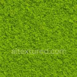 seamless Bright Moss Texture texture 8k free download PBR