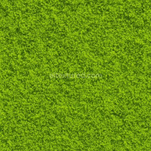 Bright Moss Texture