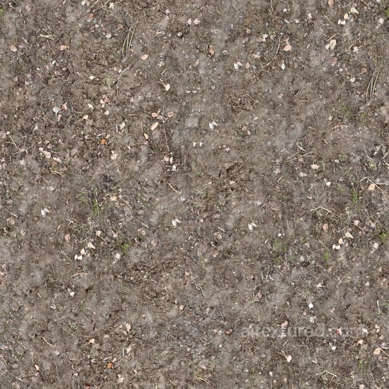 High-Quality Seamless Dirt Texture Ground surface texture preview