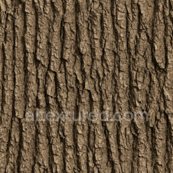 seamless Weathered Oak Bark Texture Seamless 1024X1024 texture 1024x1024 free download PBR