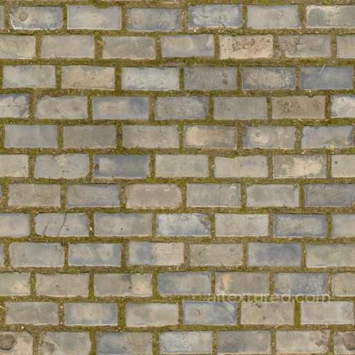 Floor Moss Damp - Floor Tiles Moss Damp Wet seamless Brick PBR texture