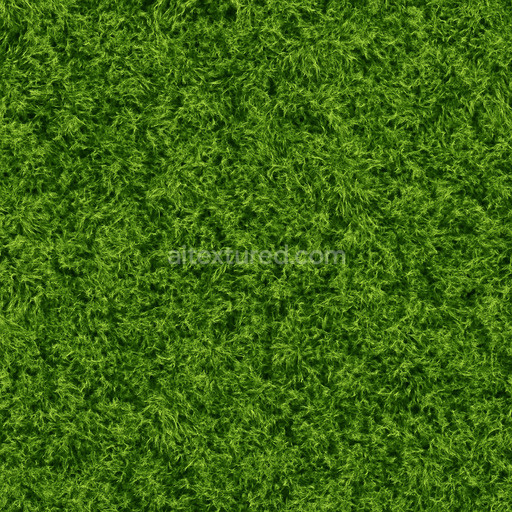 Detailed Green Moss Texture Seamless 1024X1024