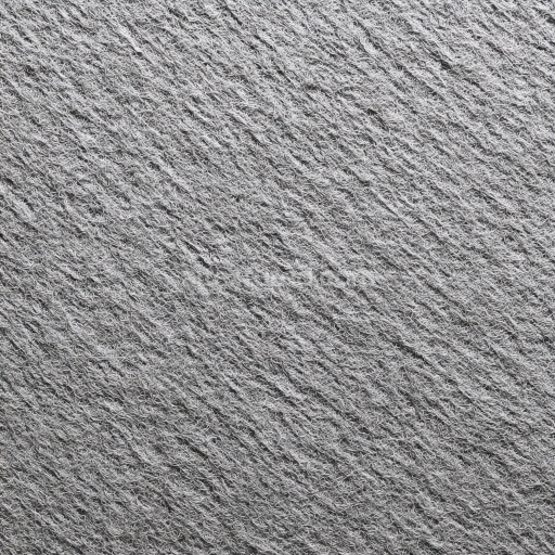 Seamless 3D Felt PBR Texture Featuring Dense Soft Gray Fiber Surface
