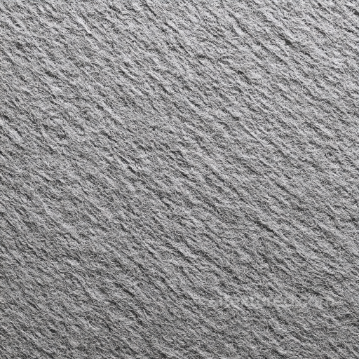 Felt PBR Texture Featuring Dense Soft Gray Fiber Surface seamless Felt PBR texture