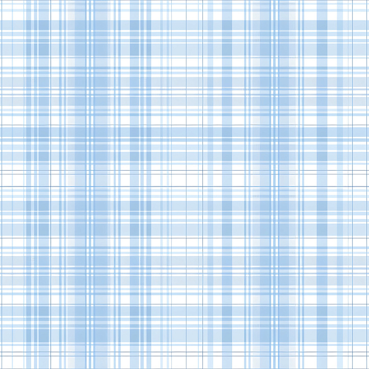 Light Blue and White Plaid Fabric with Soft Weave Pattern seamless PBR texture preview
