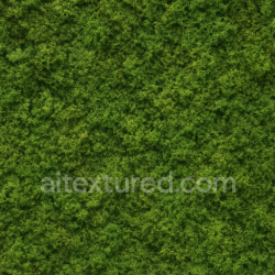 seamless Natural Moss Texture texture 1024x1024 free download PBR