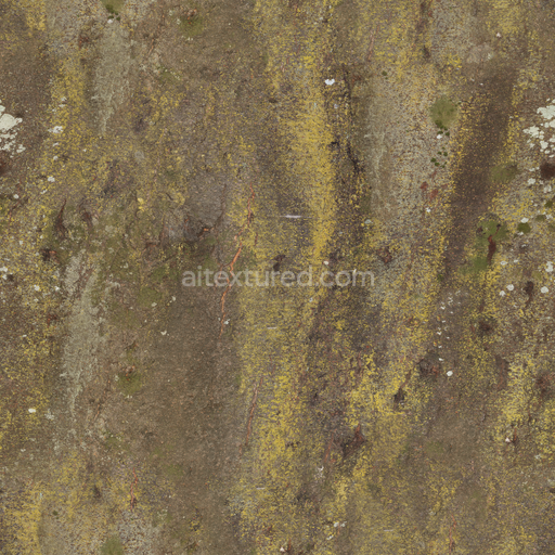 Japanese Hackberry Bark — Tree Bark Bark Forest Natural — PBR seamless 3D texture