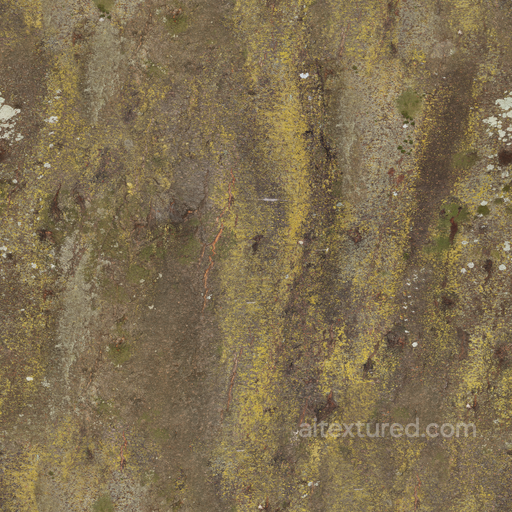 Japanese Hackberry Bark - Tree Bark Bark Forest Natural seamless Bark PBR texture