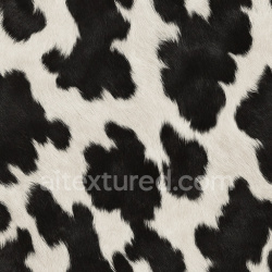 seamless Shiny Cowhide Texture Seamless 1024X1024 texture 1024x1024 free download PBR