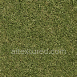 seamless Rough Grass Seamless Texture texture 1024x1024 free download PBR