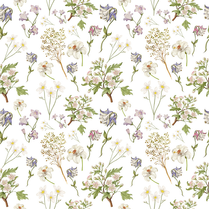 Pattern with Delicate Wild Flower Botanical Motifs on White seamless PBR texture preview