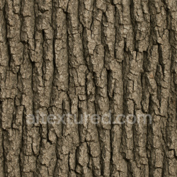 seamless Aged Oak Bark Texture Seamless 1024X1024 texture 1024x1024 free download PBR