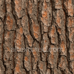 seamless Detailed Pine Bark Texture Seamless 1024X1024 texture 1024x1024 free download PBR