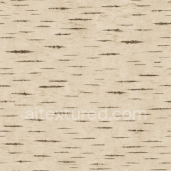 seamless Natural Birch Texture Seamless 1024X1024 texture 1024x1024 free download PBR