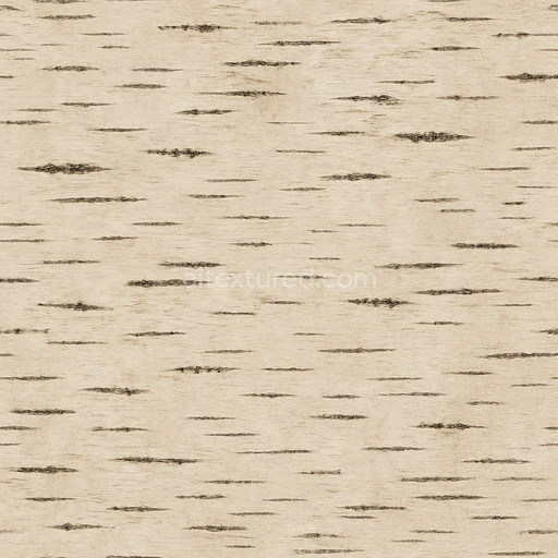 Natural Birch Texture Seamless 1024X1024