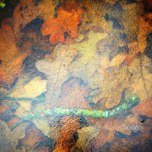 Realistic Autumn Leaf Ground Texture PBR 4K seamless Ground surface PBR texture