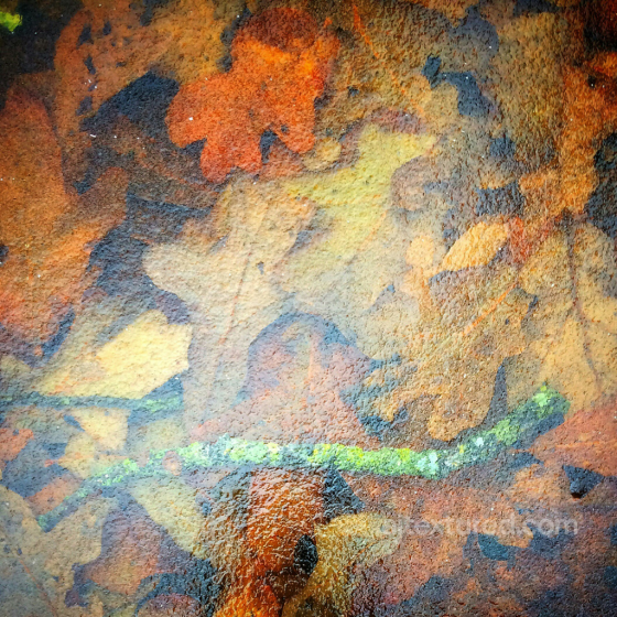 Realistic Autumn Leaf Ground Texture PBR 4K Ground surface texture preview